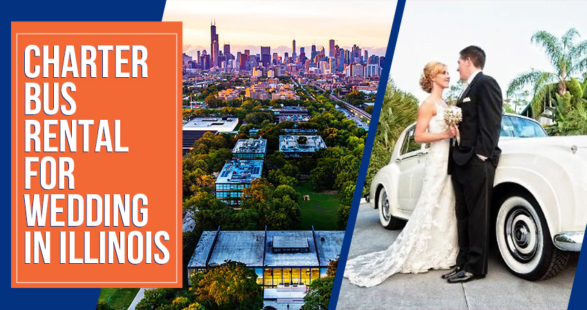 charter bus rental for wedding in Illinois - Blog
